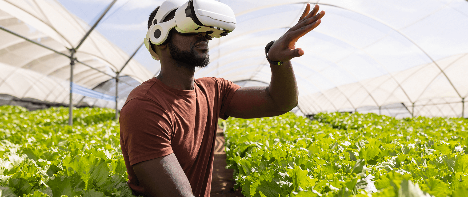 Système de Traçabilité de l'Agriculture Digitale